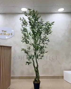 Artificial Twisted Olive Tree 210cm | Artificial Olive Tree Nigeria