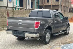 Ford F-150 XLT 2013 Gray