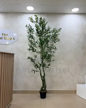 Artificial Twisted Olive Tree 210cm | Artificial Olive Tree Nigeria