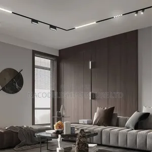 LED Magnetic Track Light
