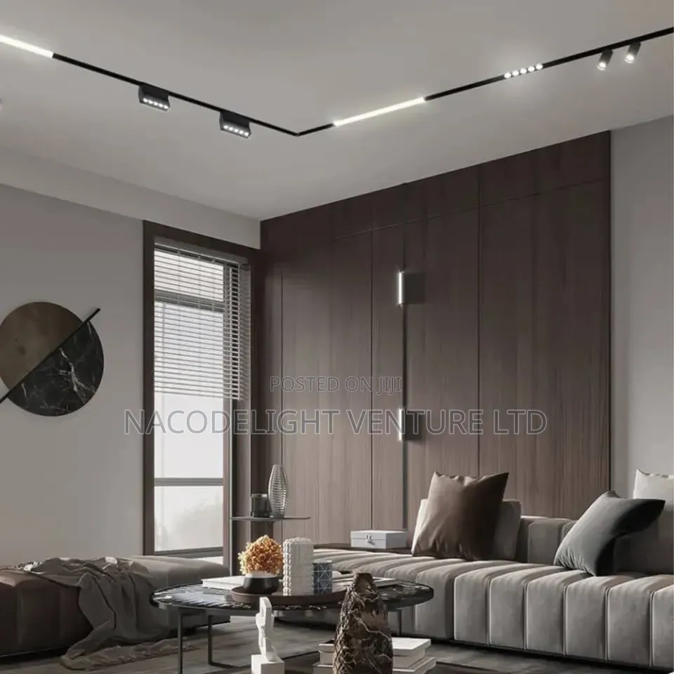 LED Magnetic Track Light