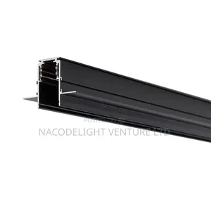 LED Magnetic Track Light