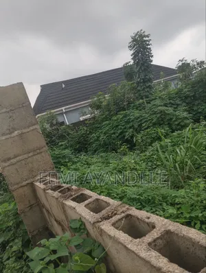 Complete Full Plot