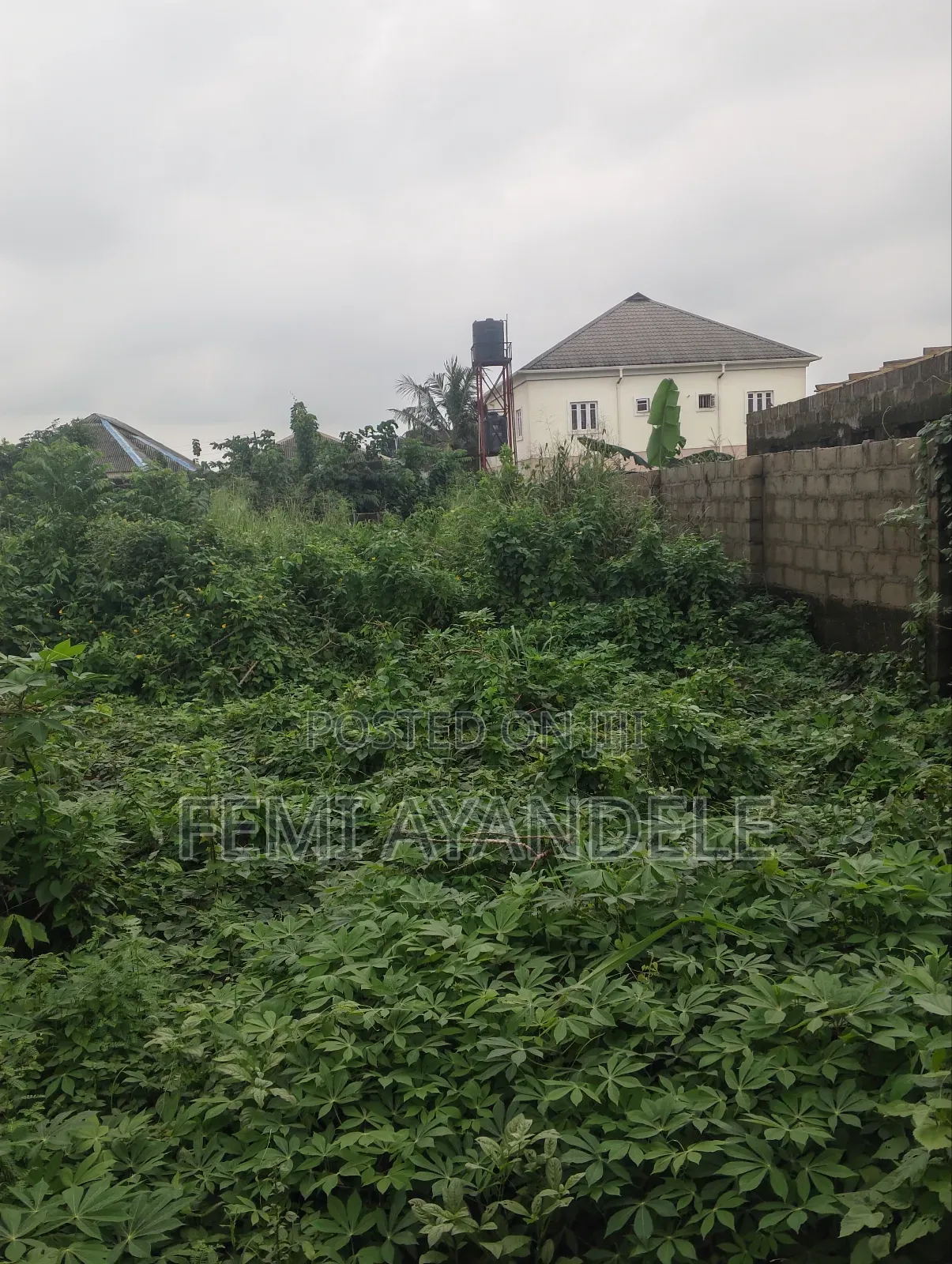 Complete Full Plot