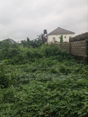 Complete Full Plot