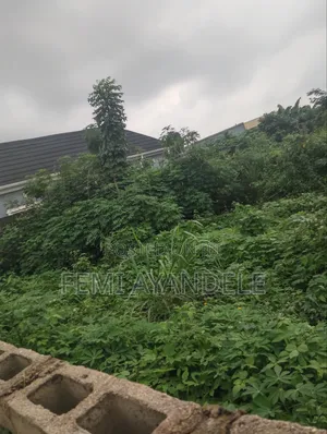Complete Full Plot