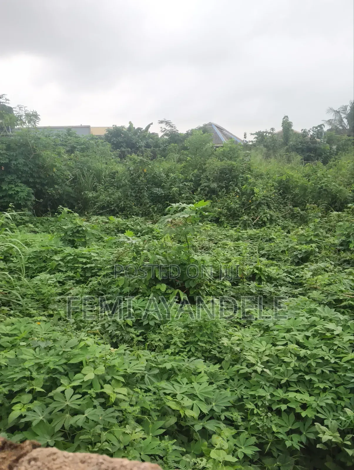 Complete Full Plot