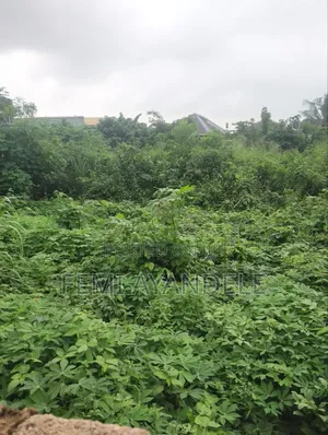 Complete Full Plot