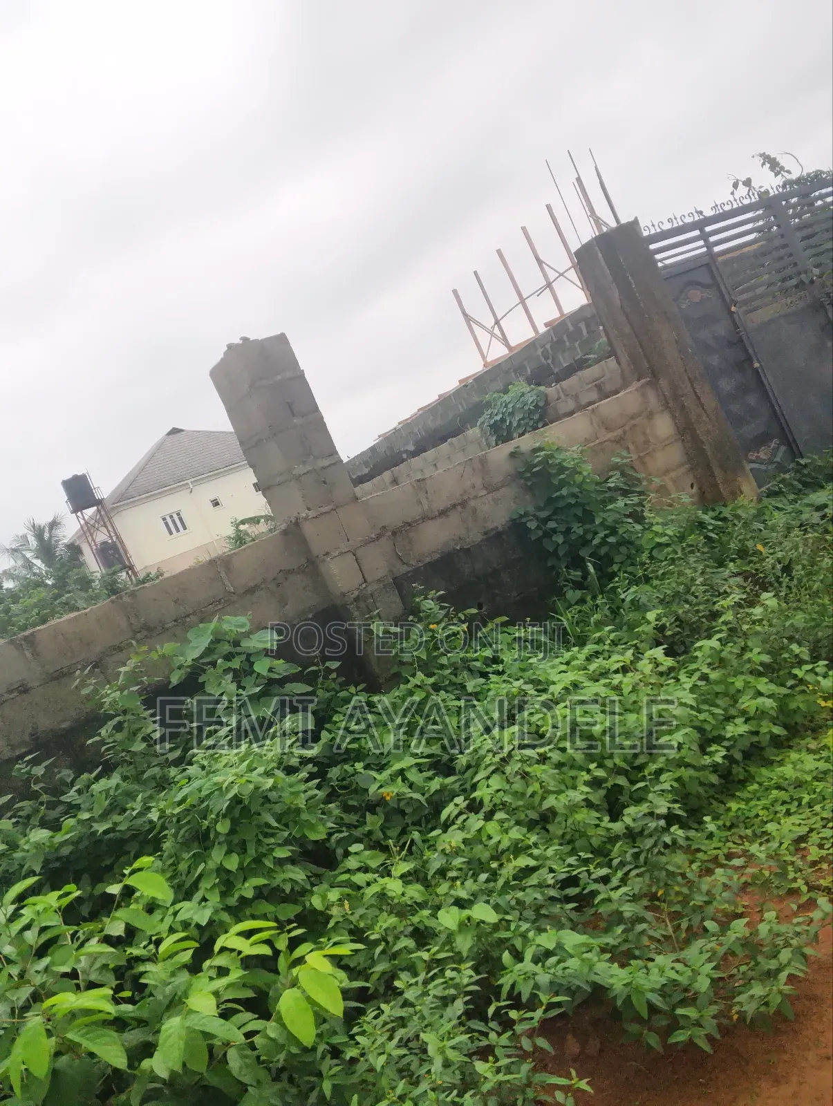Complete Full Plot