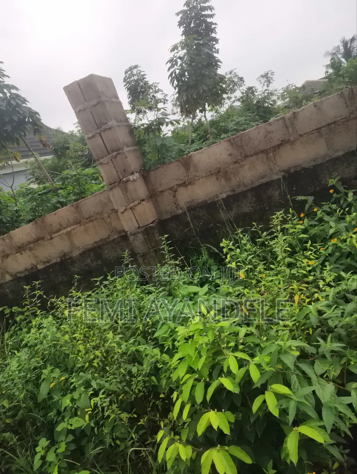Complete Full Plot