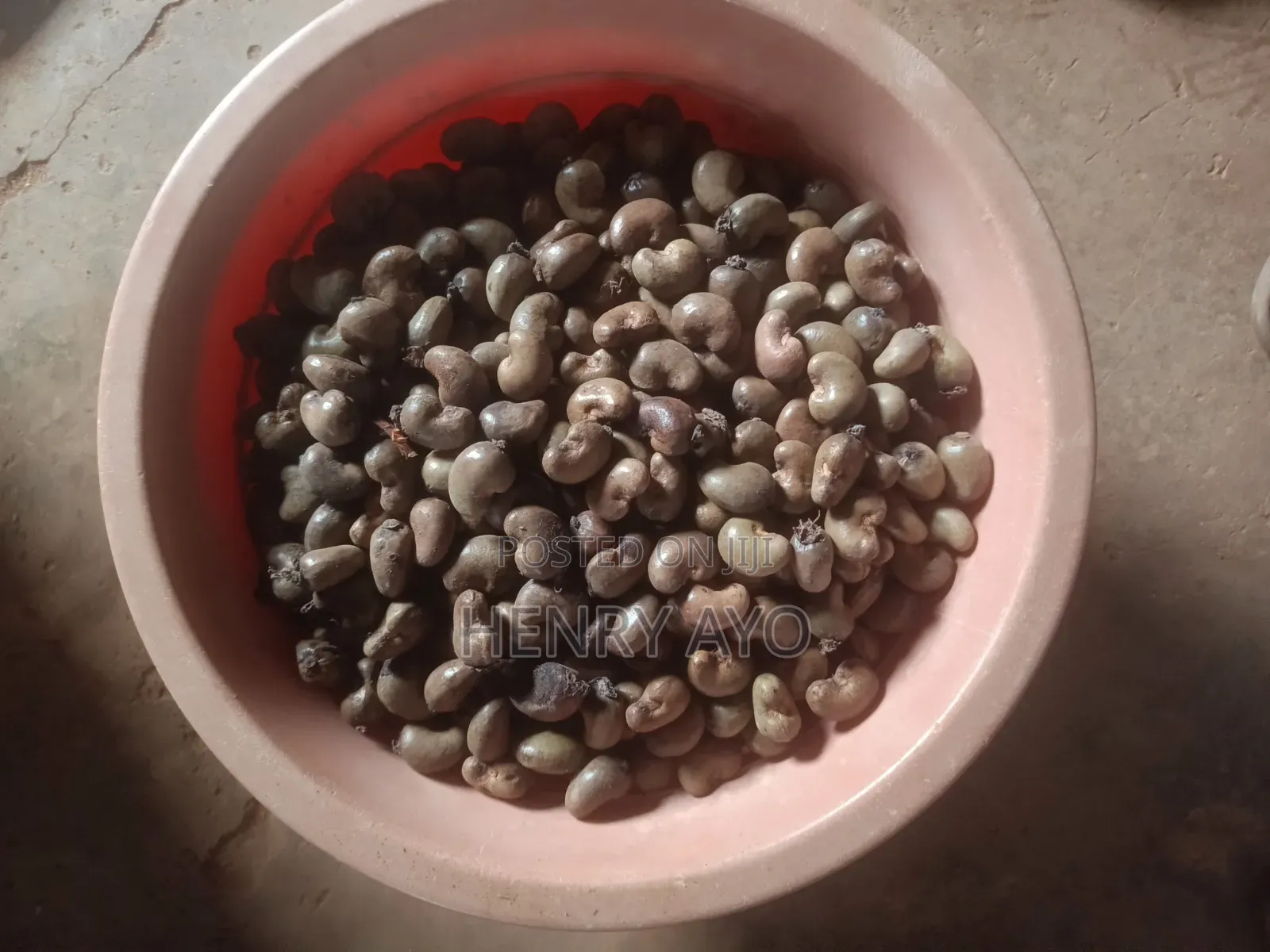 Raw Cashew Seed