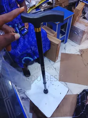 Walking Stick