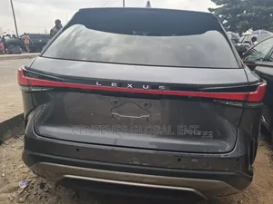 Lexus RX 2024 Gray