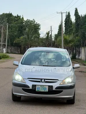 Peugeot 307 2007 Silver