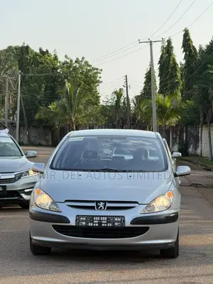 Peugeot 307 2006 Silver