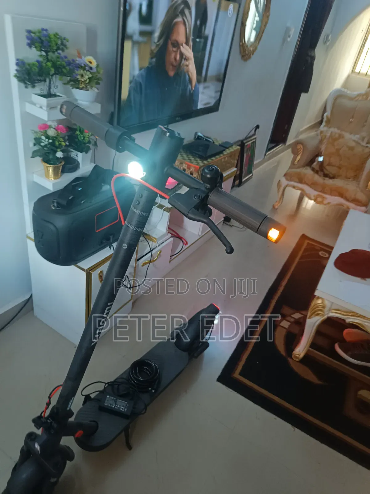 Electric Scooter