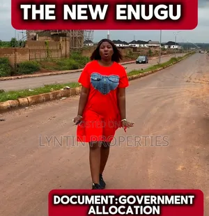 Government Allocation