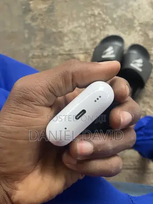 Apple Earbuds