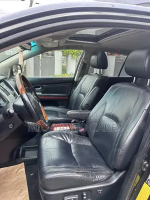Lexus RX 2009 Green