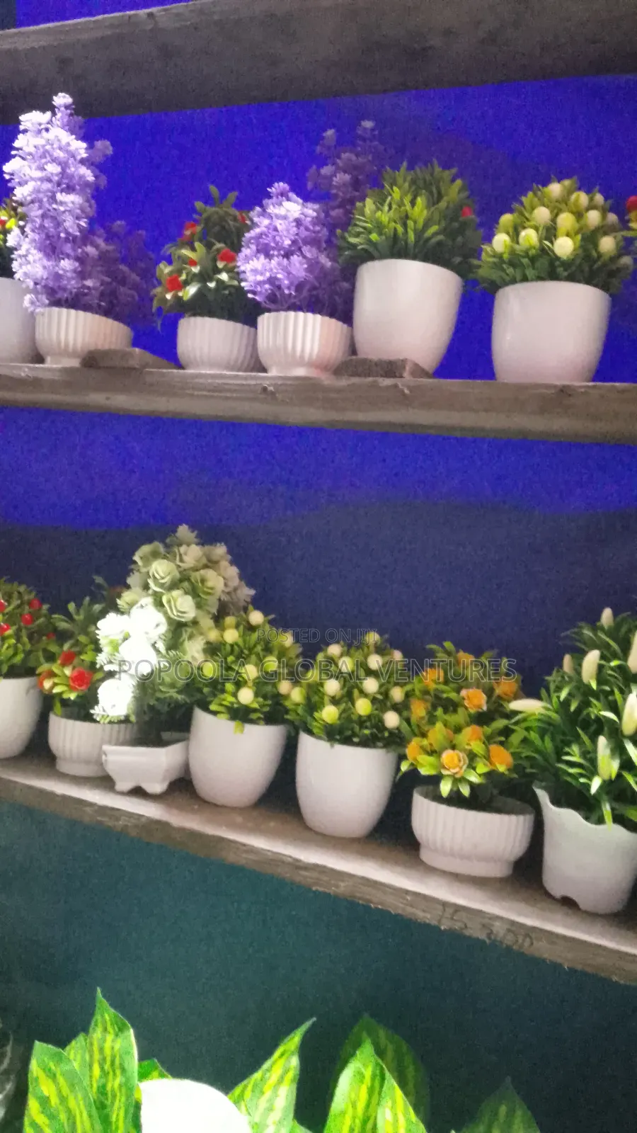 Table Flower