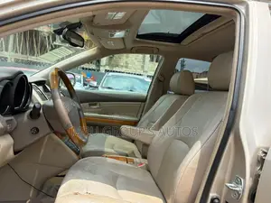 Lexus RX 330 2004 Brown