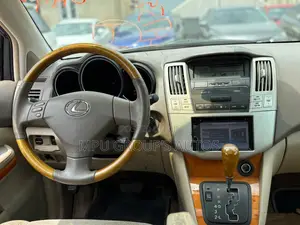 Lexus RX 330 2004 Brown