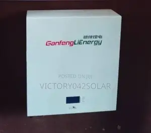 Ganfenglienergy Lithium-Ion