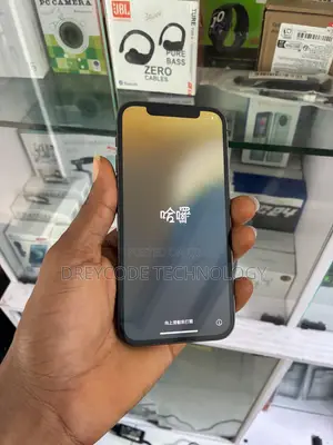 Apple iPhone 12 Pro 256 GB Gray