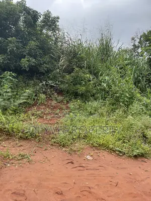 3000 Plots of Land for Sale at Ukala Okpuno