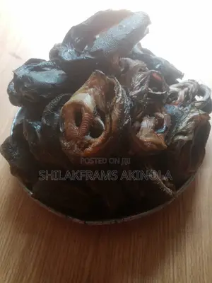 Smoked Catfish for Sell