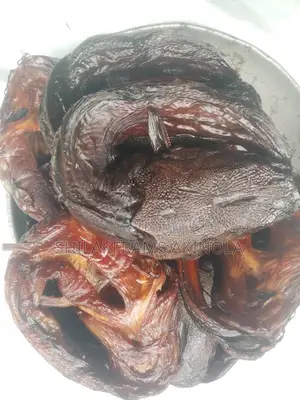 Smoked Catfish for Sell
