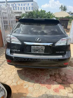 Lexus RX 350 2010 Gray
