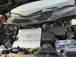 Lexus RX 350 2010 Gray