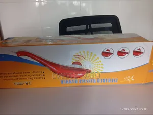 Dolphin Body Massager