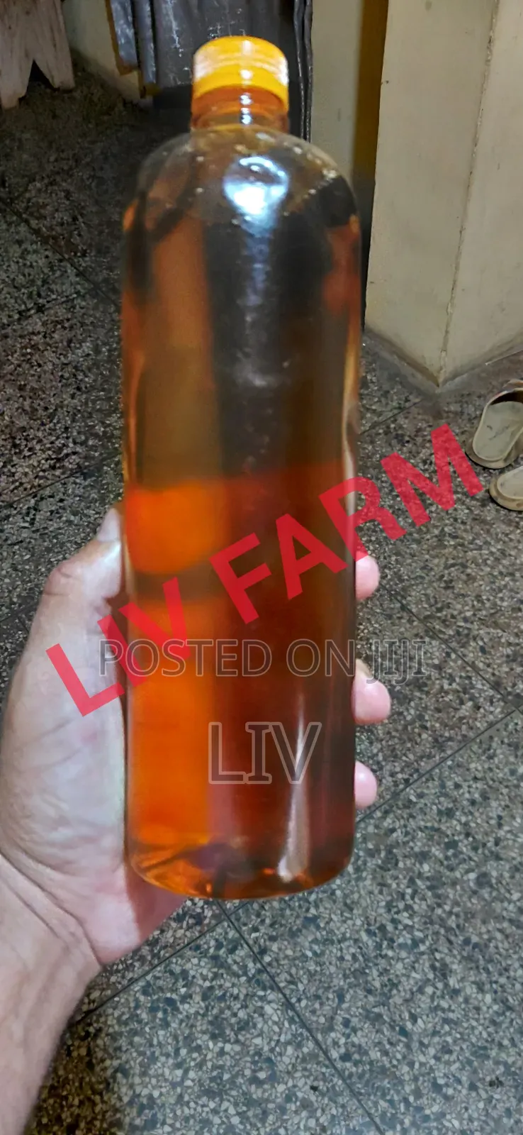Papaya Pawpaw Seed Oil Cold Press