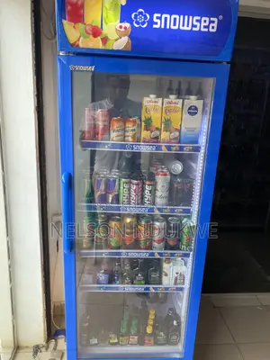 Snowsea Display Fridge/Cooler 500L Working Perfectly