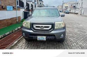Honda Pilot 2010 Gray