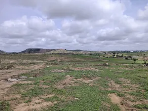 Multipurpose Plot
