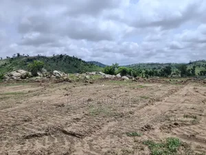 Multipurpose Plot
