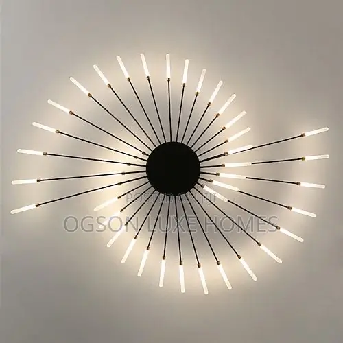 Luxury Led Ceiling Light