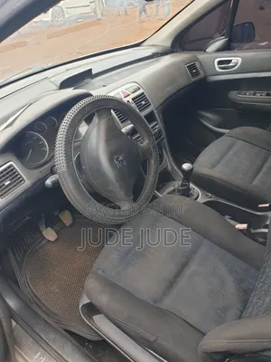 Peugeot 307 2007 Gray