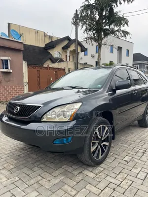 Lexus RX 350 2007 Gray