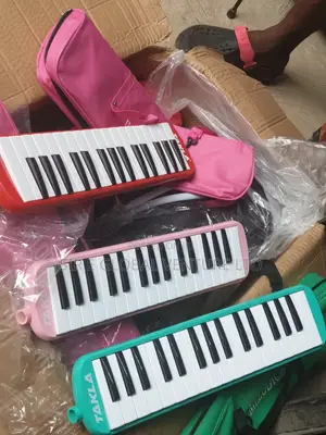 Professional Melodica
