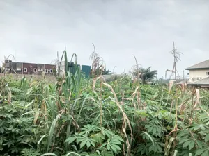 Land Available Beside Prince Paul Ikonne Okpulor Umuobo Aba