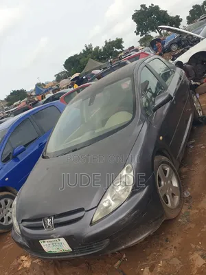 Peugeot 307 2007 Gray