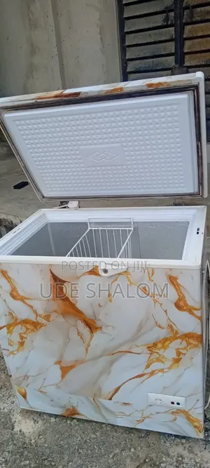 LG 160l Freezer