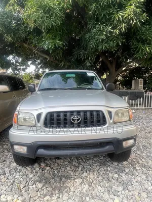 Toyota Tacoma 2003 Gray