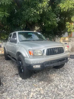 Toyota Tacoma 2003 Gray