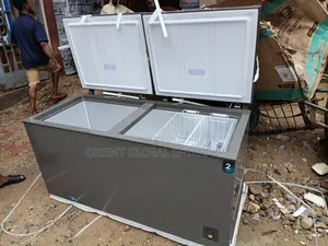 Hisense 500litres Double Door Freezeer