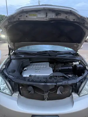 Lexus RX 350 2008 Brown